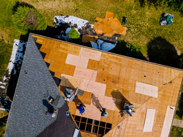 Quick and Trustworthy Emergency Roof Repair Services in Warren, MI