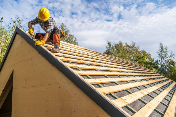Professional Roofing Contractor in Warren, MI