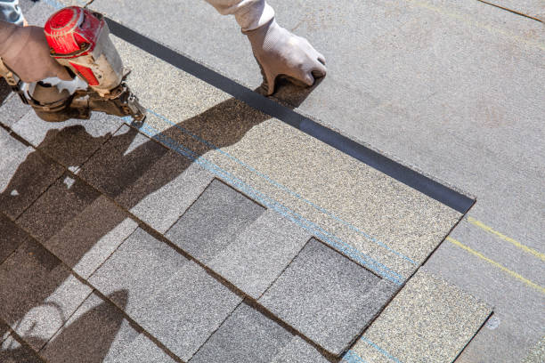 Best Roof Leak Repair  in Warren, MI